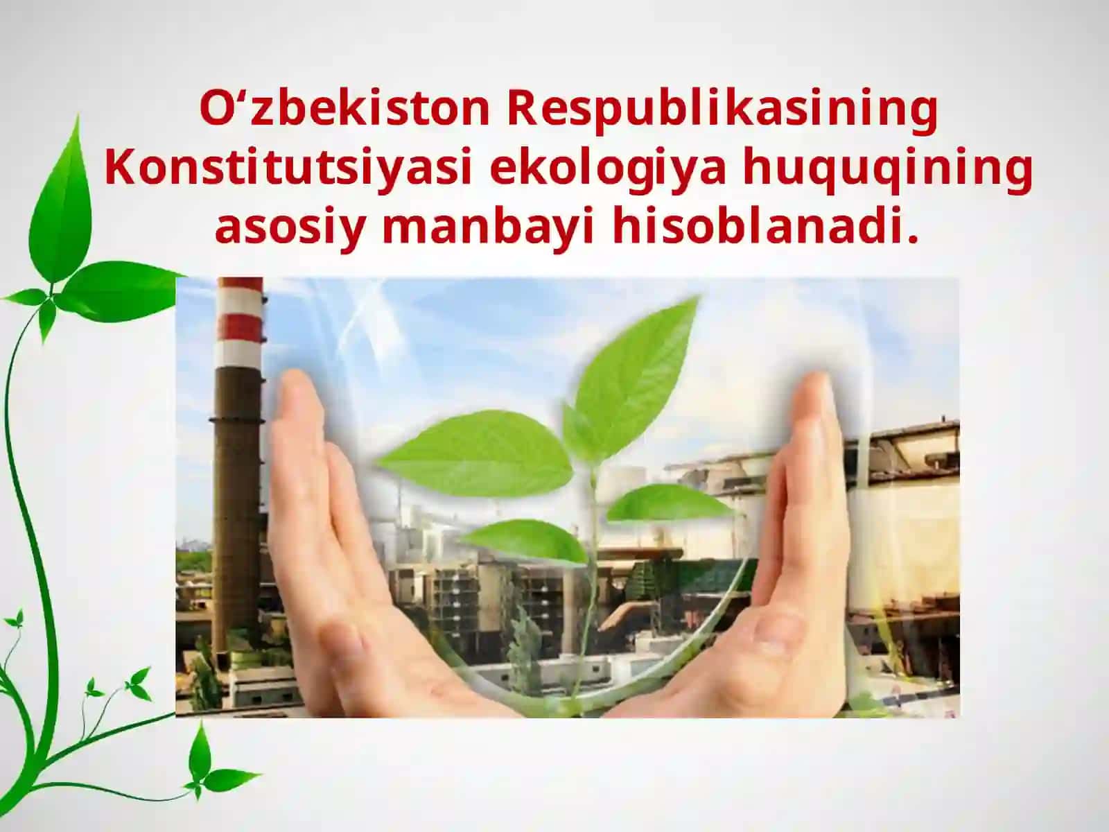 Tabiatni muhofaza qilishning huquqiy asoslari 3