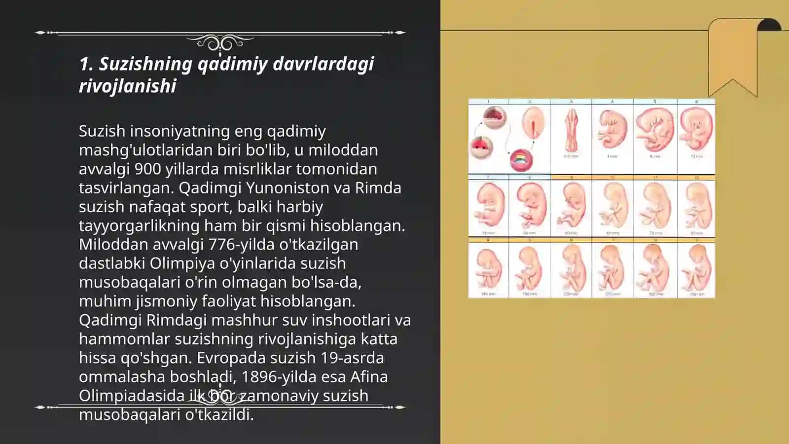 Suzishning rivojlanishi tarixi Abdurasulov shaxob 3