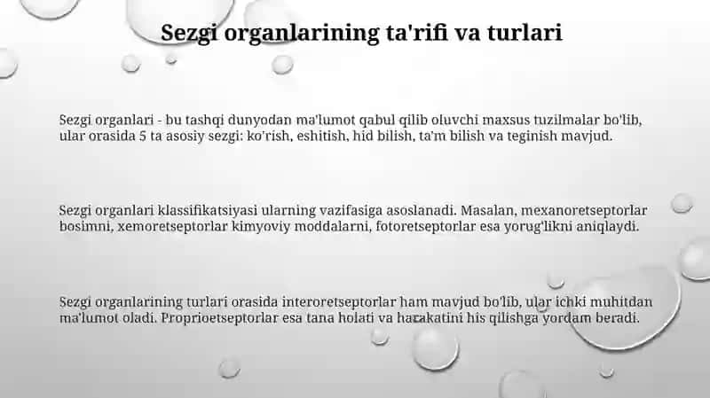 Sezgi organlari 3