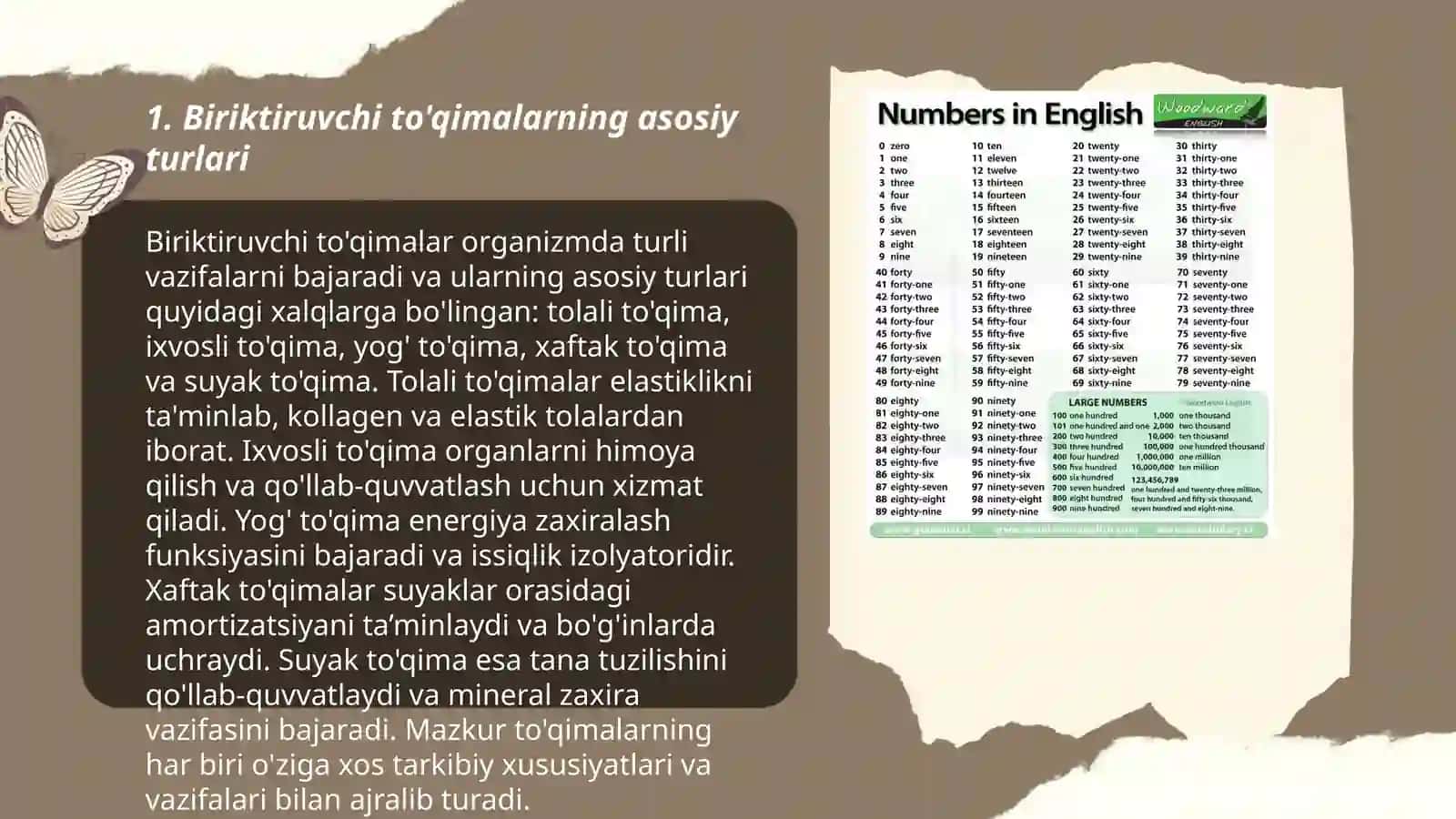 Odam organizmidagi maxsus biriktiruvchi tòqimalar 3