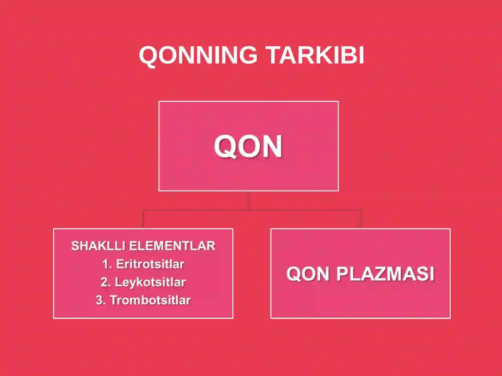 QON VA LIMFA 3