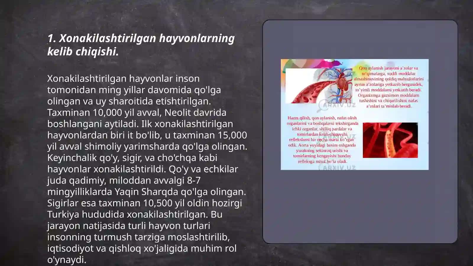 Xonakilashtirilgan hayvonlarning kelib chiqishi 3