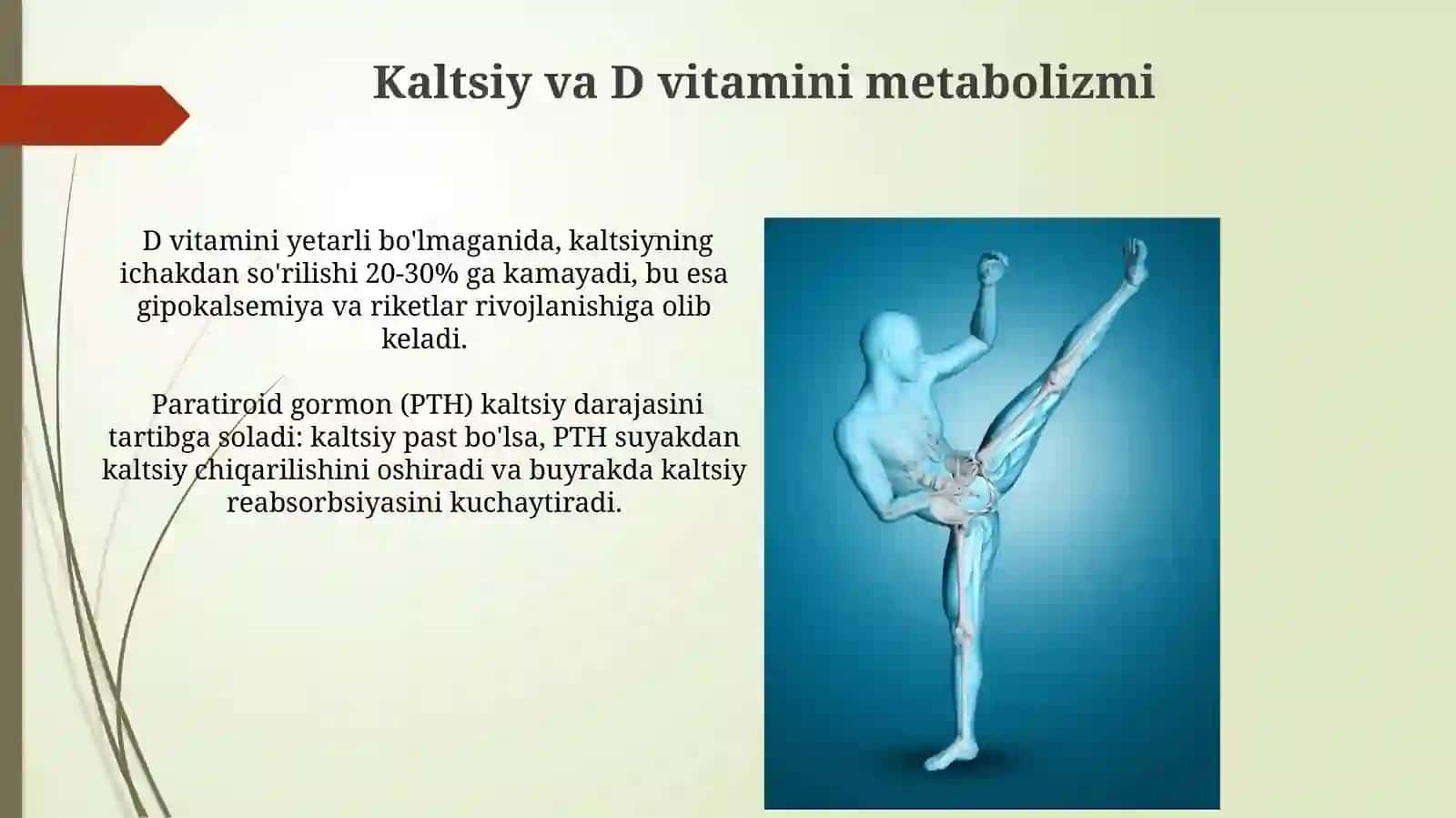 Suyak -mushak tizimi anatamo fiziologik xususiyatlari.Raxit kasaligi 3