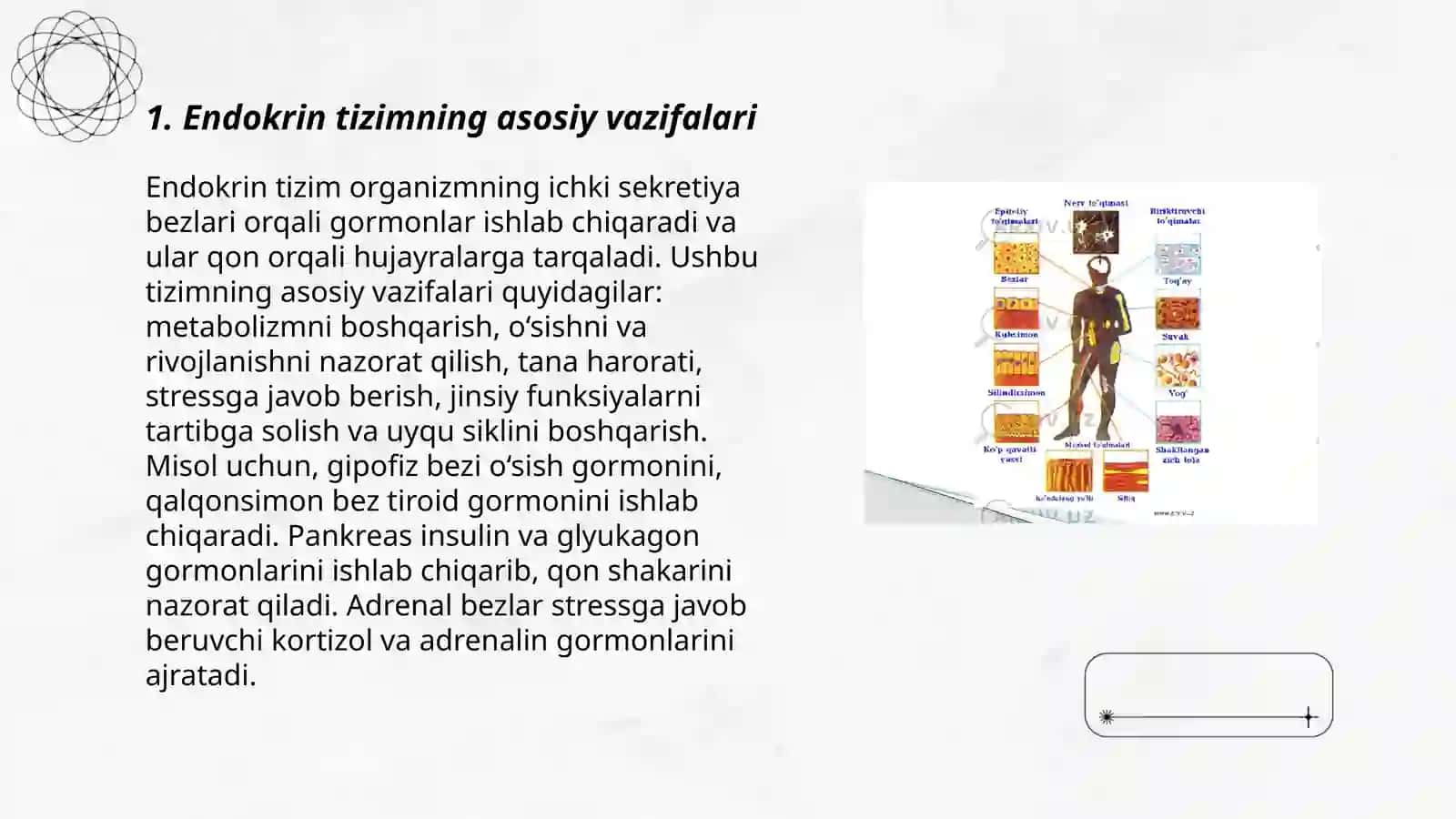 Fiziologik faol moddalar va endokrin tizim biokimyosi 3