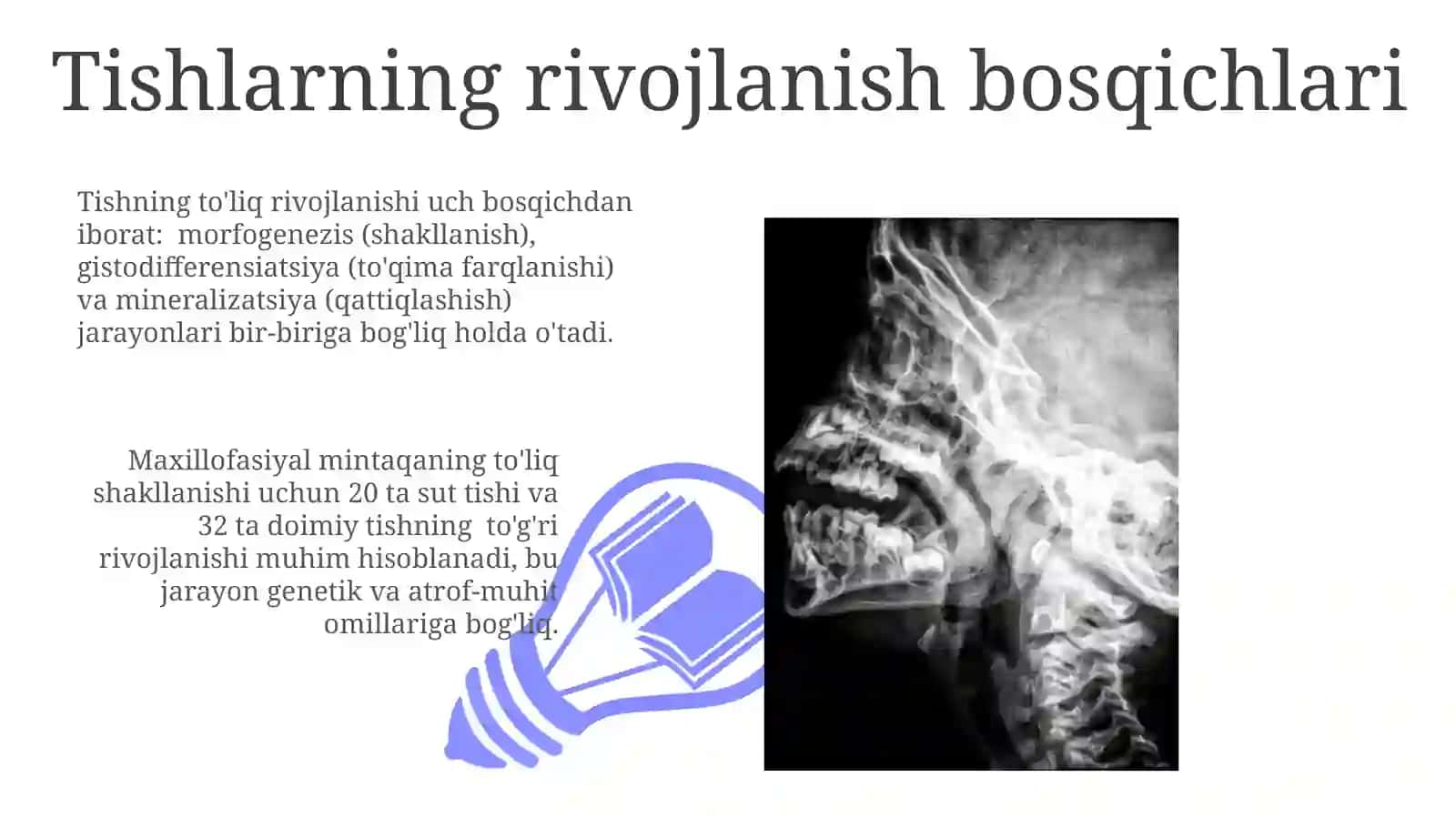 Tishlarning Rentgen Anatomiyasi 3