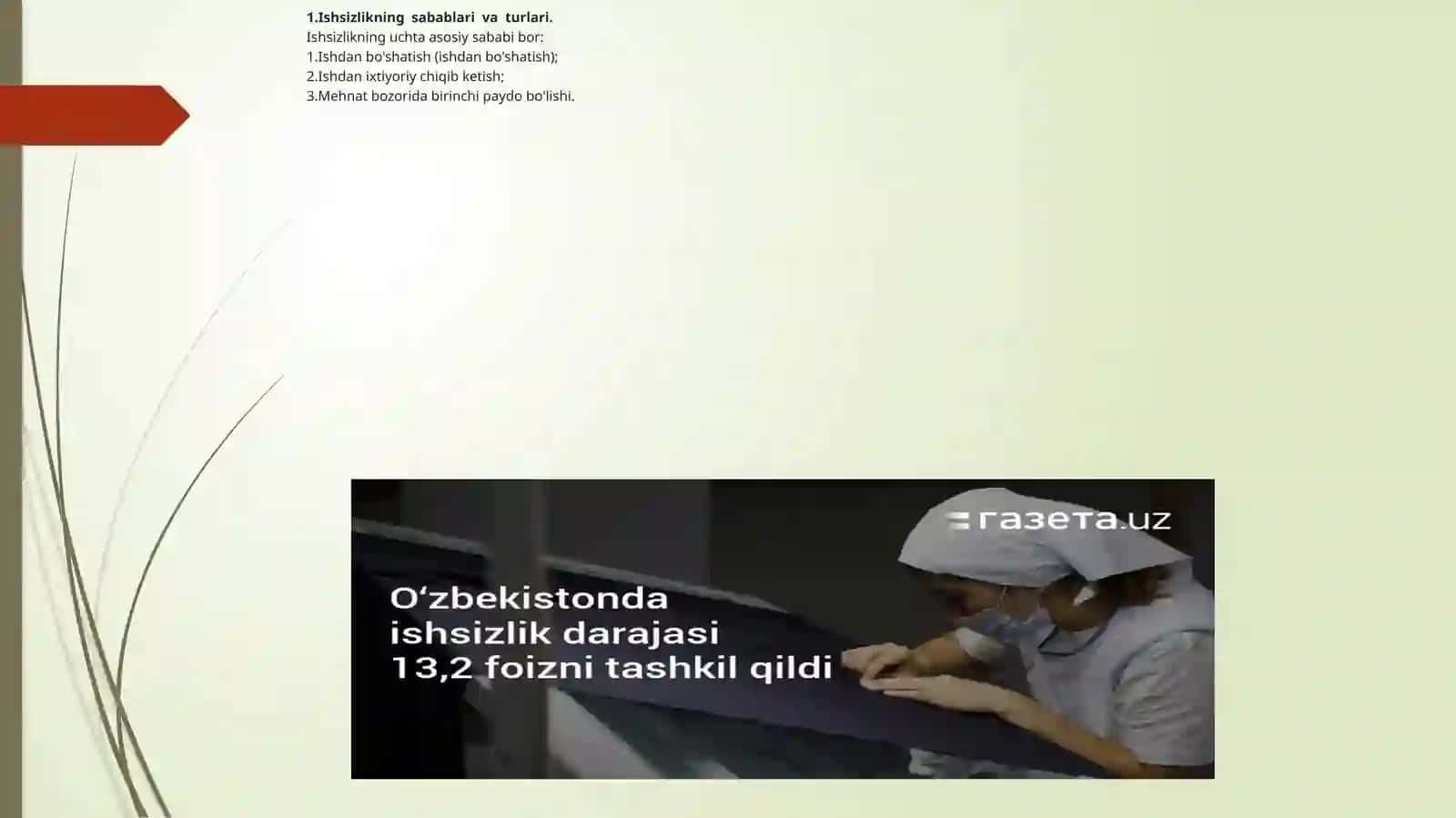 ISHSIZLARNI IJTIMOIY XIMOYA QILISH TIZIMI 3