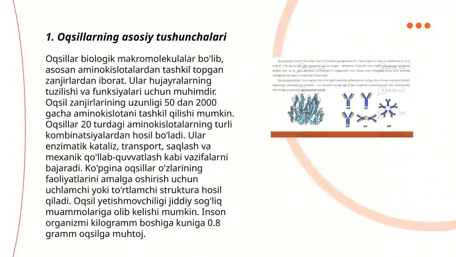 Oqsillar. Oqsillarning xossalari. Oddiy va murakkab oqsillar. Oqsillarning funksiyalari.Oqsillarning ahamiyati. Aminokislotalar 3