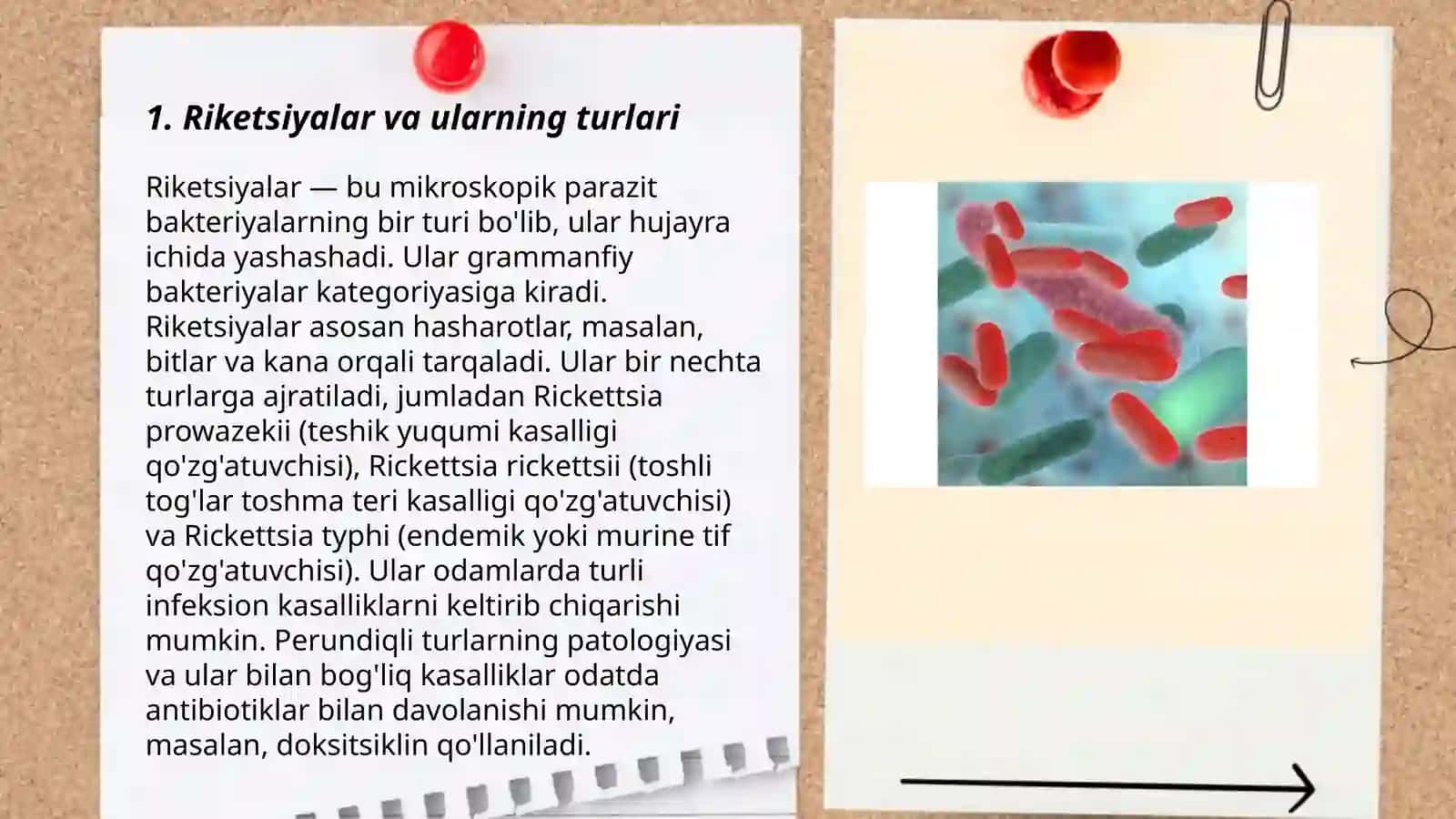 Rikketsiozlar 3