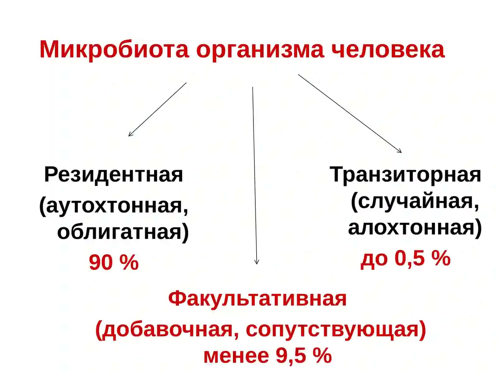 Дисбактериоз. Принципы диагностики, профилактики и лечения 3