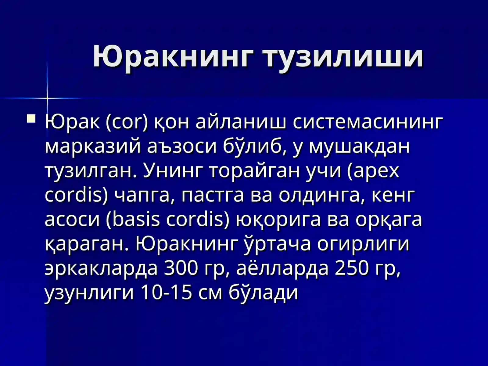 Юрак, қон айланиш доиралари, юракнинг ёшга қараб ўзгариши 3