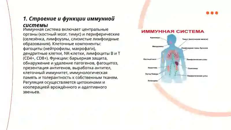Иммуннaя система 3