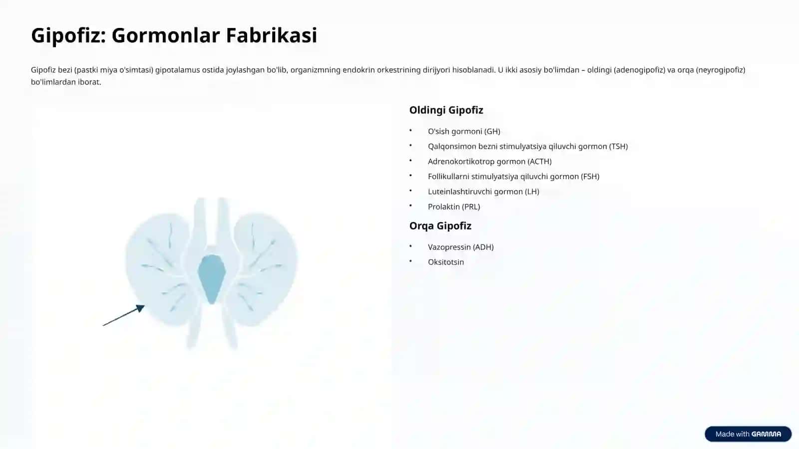 Organizmda Gipotalamus va Gipofiz Boshqaruvi 3