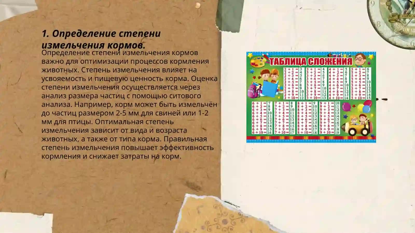 Omixta yemlarning maydalash yirikkigini aniqlash Шавкатова Негкадам 3