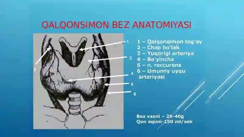 Endemik buqoq va gipotireoz patogenezivadavolash usullari 3