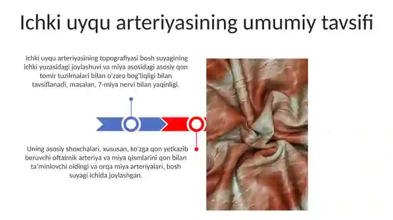 Ichki uyqu arteriyalari, ularning tarmoqlari va topografiyasi 3