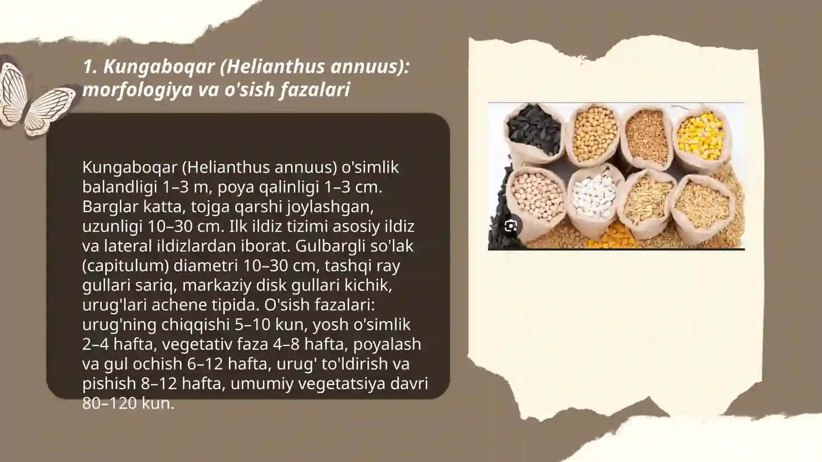 Moyli ekinlarning turlari va ularning biologik xususiyatlari 3