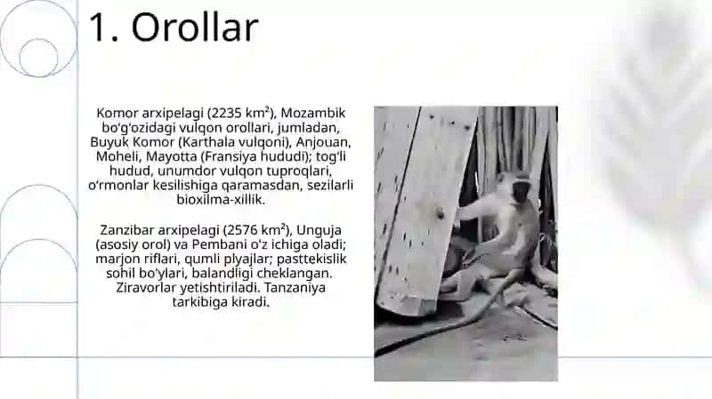 AFRIKA MATERIGINI TABIIY GEOGRAFIK RAYONLASHTIRISH 3