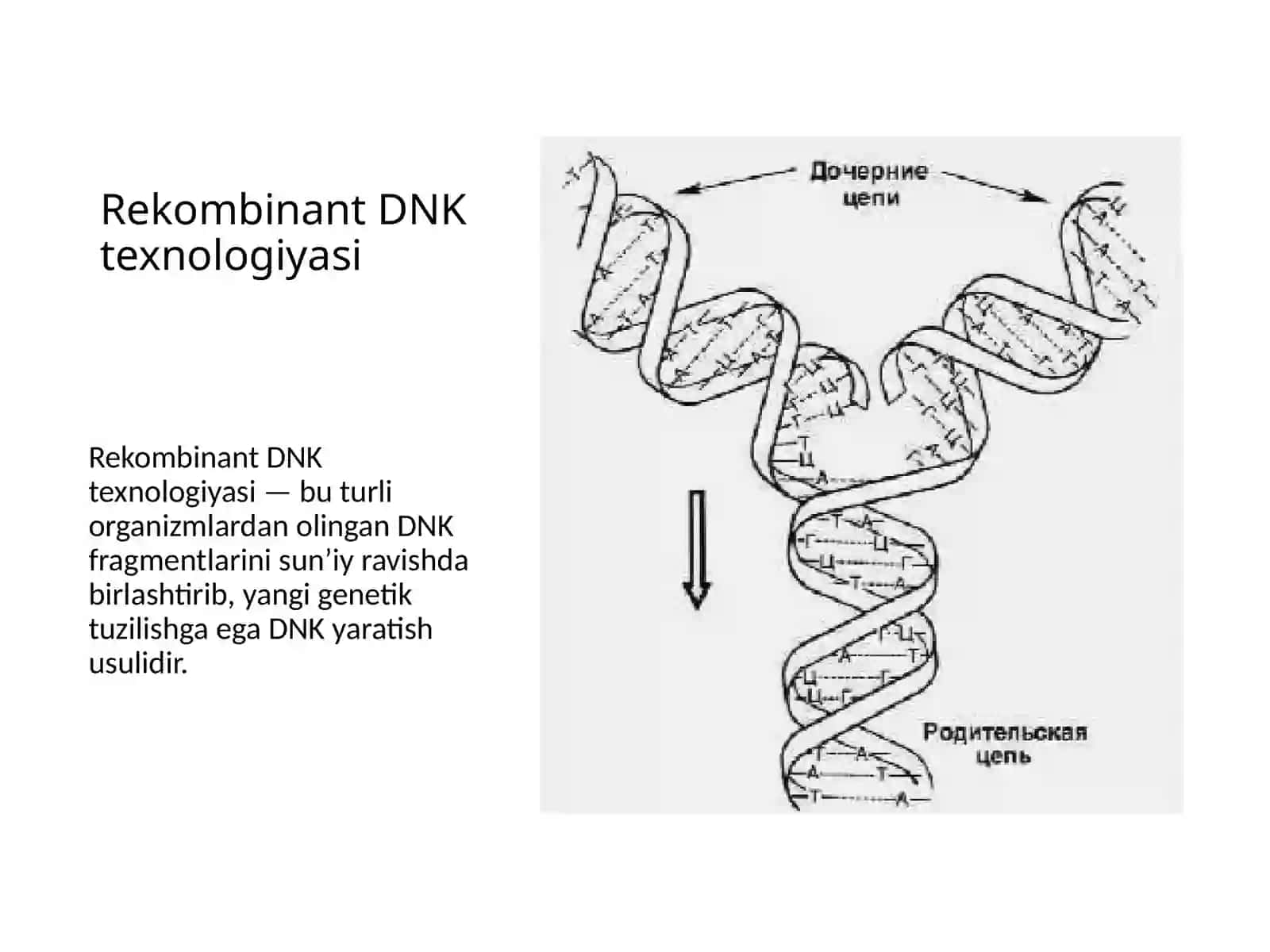 Tibbiyotda DNK rekombinantlarini qoʻllanilishi 3