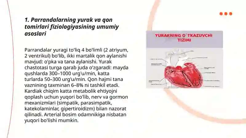Parrandalarning yurak va qon tomirlari fiziologiyasi. 3