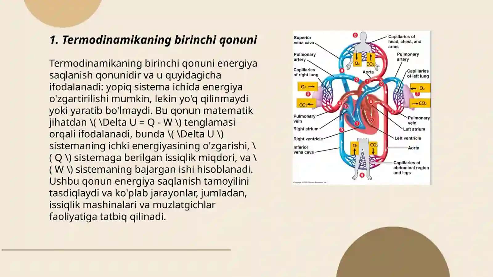 Qon aylanish sistemasining fizik asoslari 3