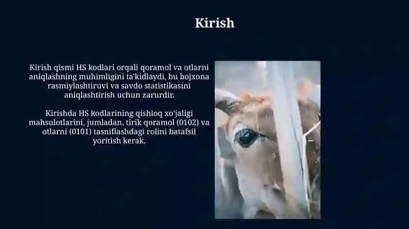 HS kodlari orqali qoramol va zotli otlarning tif tn kodi boʻyicha identifikatsiyalash 3