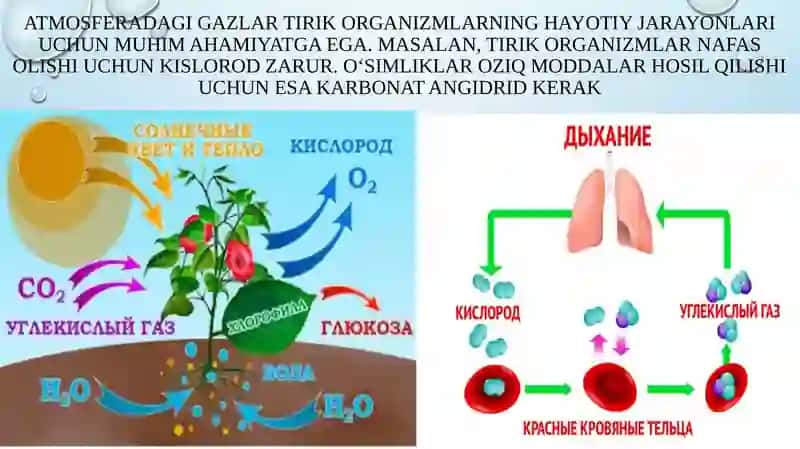 5-sinf.Tabiiyfan.Atmosfera2-qism 3