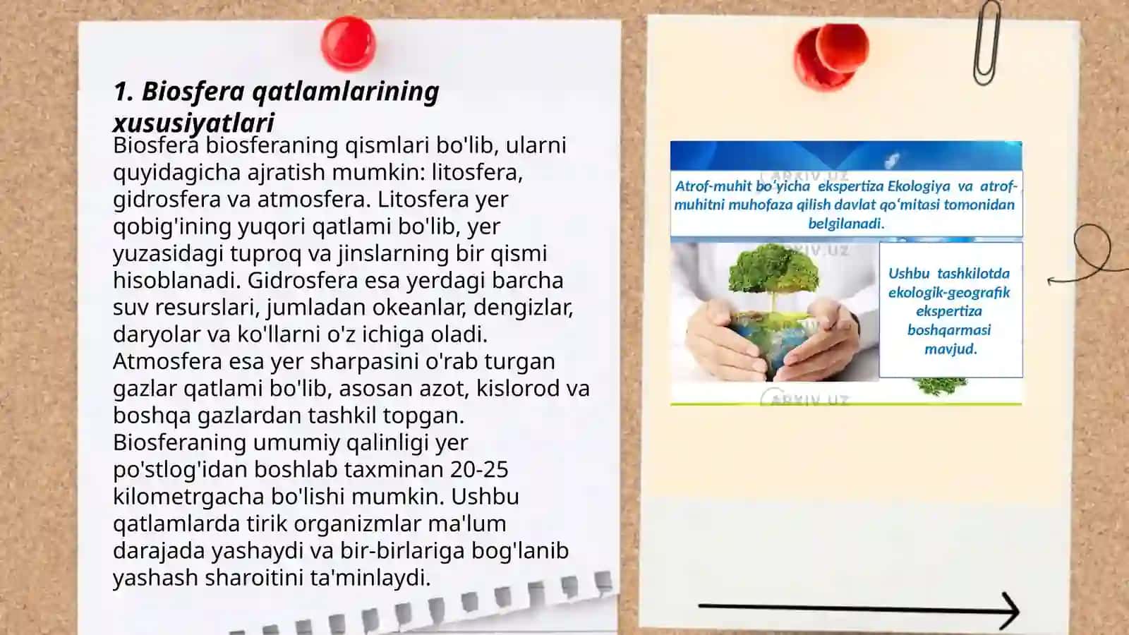 Biosfera evalutsiyasi qatlamlari 3
