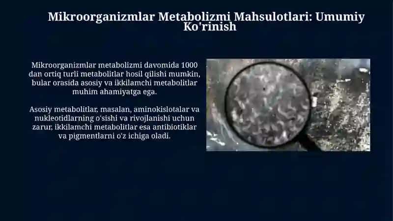 Mikroorganizmlarning hayot faoliyatida ishlab chiqaradigan mahsulotlari 3