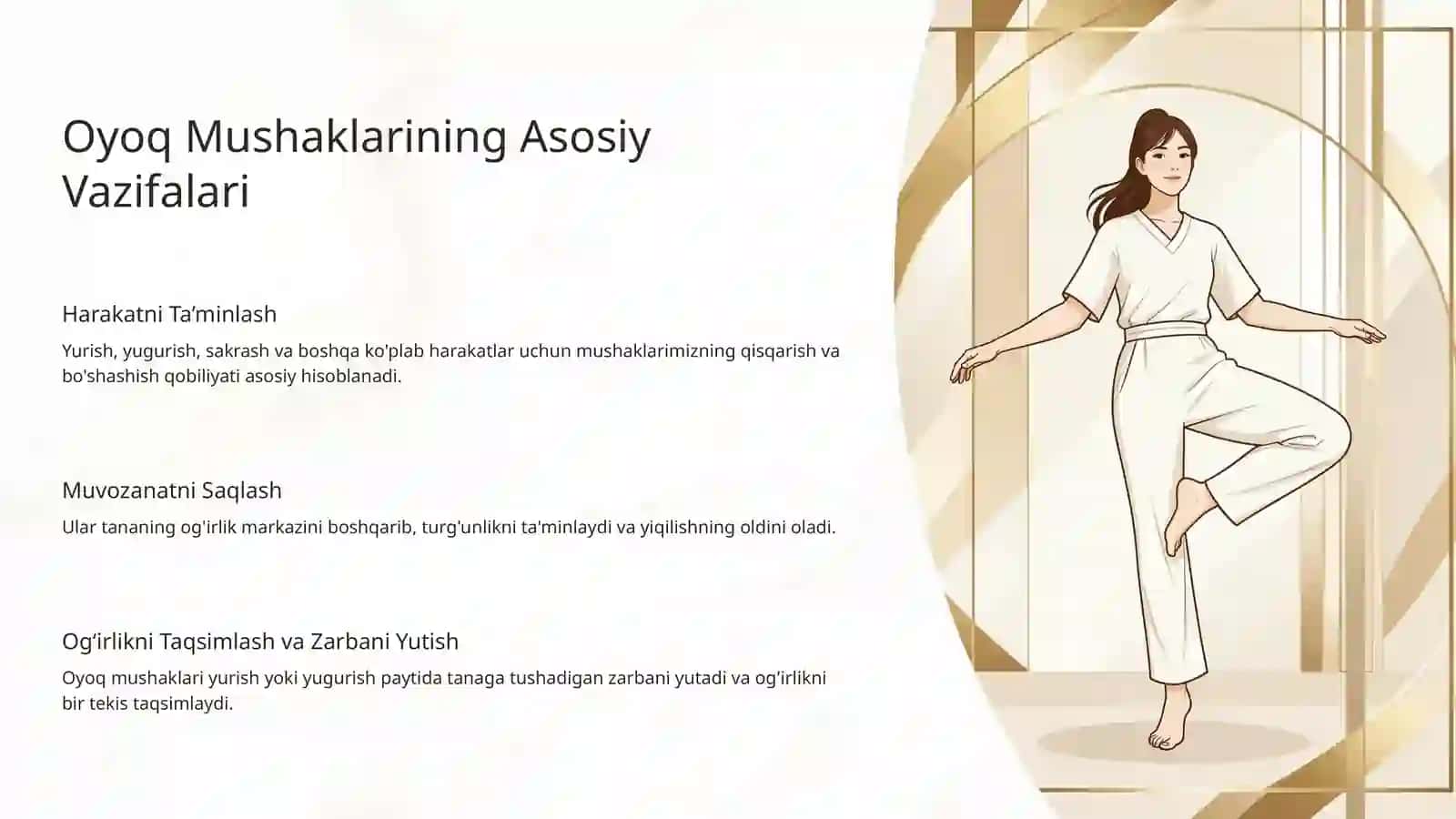 Oyoq Mushaklarining Vazifalari: Harakat va Barqarorlik Kaliti 3