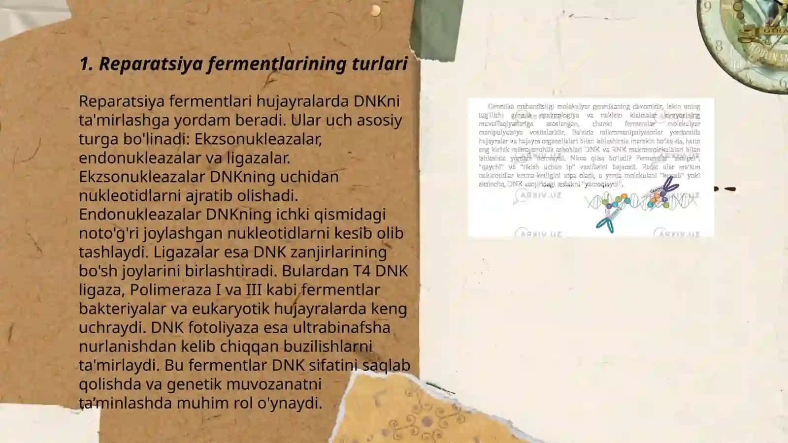 Reparatsiya fermentlari faoliyatining xilma-xilligi. Noallel genlarning oʻzaro ta'siri. Pleyotropiya 3