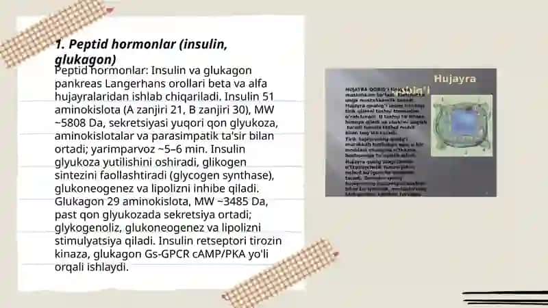 Hujayraning yuqori fiziologik faol moddalari 3