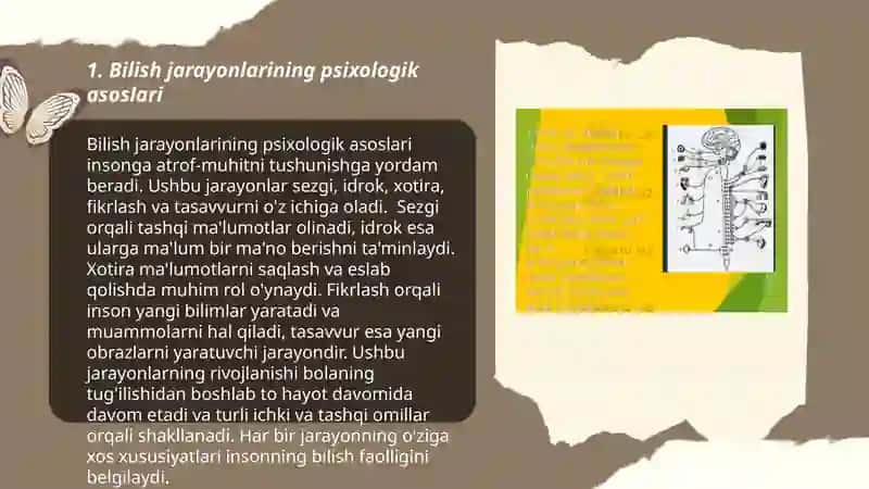 Bilish jarayonlari va emotsiyalar sezgi va idrik jarayonlari rivojlanishi 3