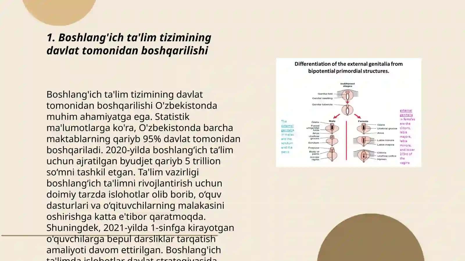 Boshlang'ich va umumiy oʻrta taʼlimning davlat boshqaruvi 3