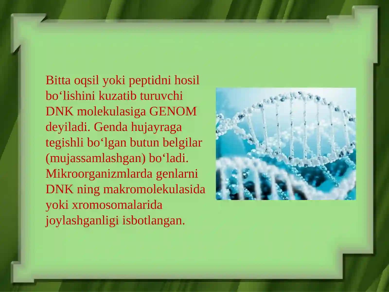 Mikroorganizmlar genetikasi 3