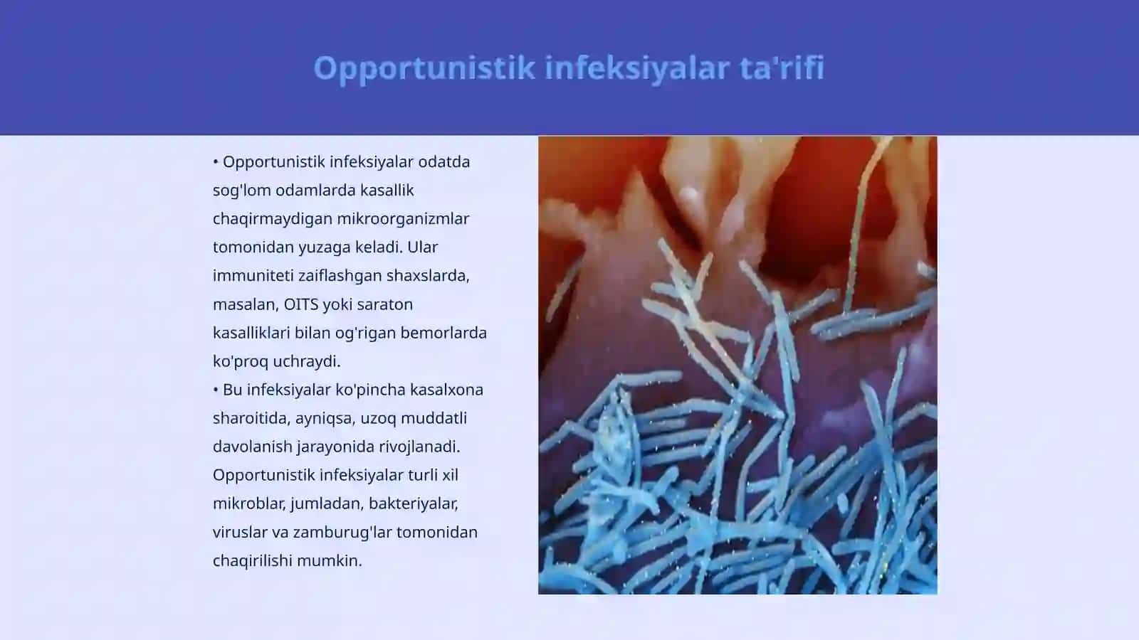 Nafas yoʻllari opportunistik infeksiyalar etiologiyasi va mikrobiologik diagnostikasi 3