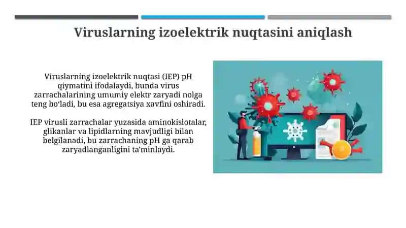 Viruslarni izoelektrik nuqtasini aniqlash 3