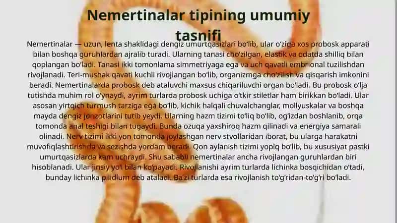 bio slayd nermertinalar 3