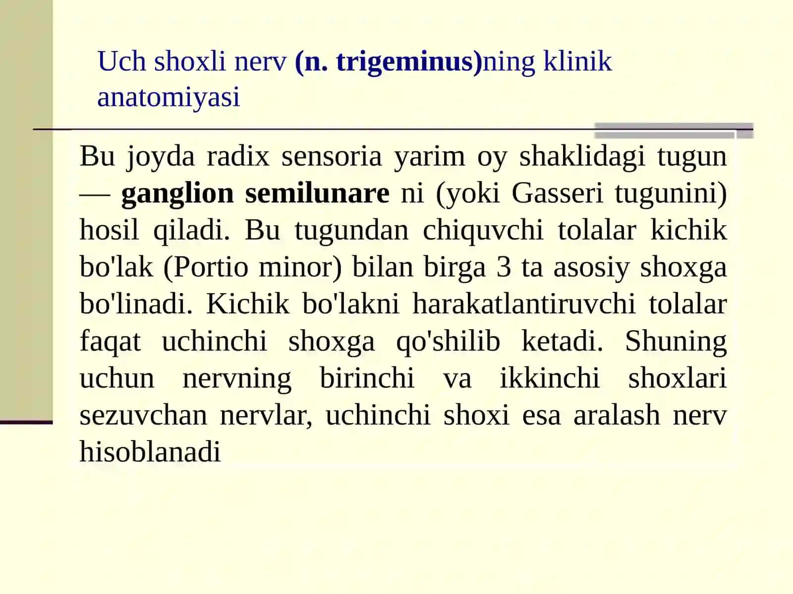Uch shoxli nervning klinik anatomiyasi 3