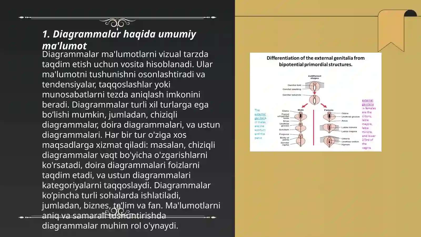Diagrammalar va ularning turlari 3