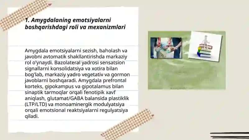 Emotisiyaning nevrofizlogik asoslari 3