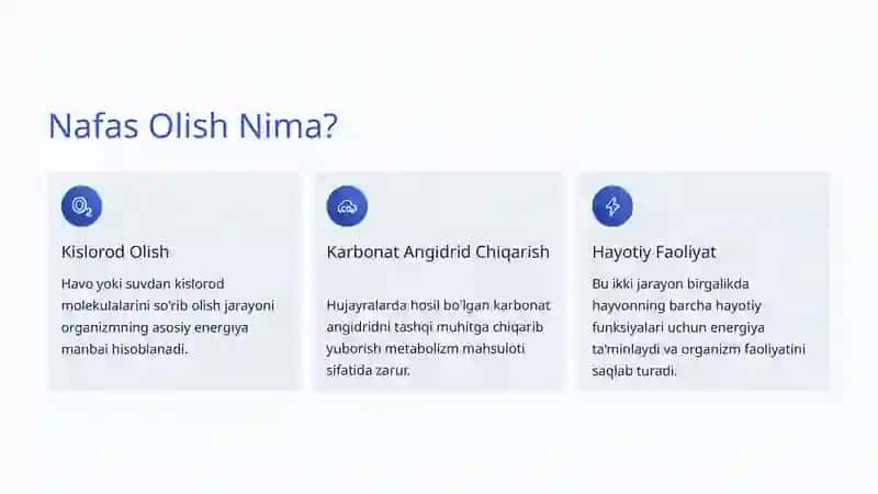 Nafas Olish 3