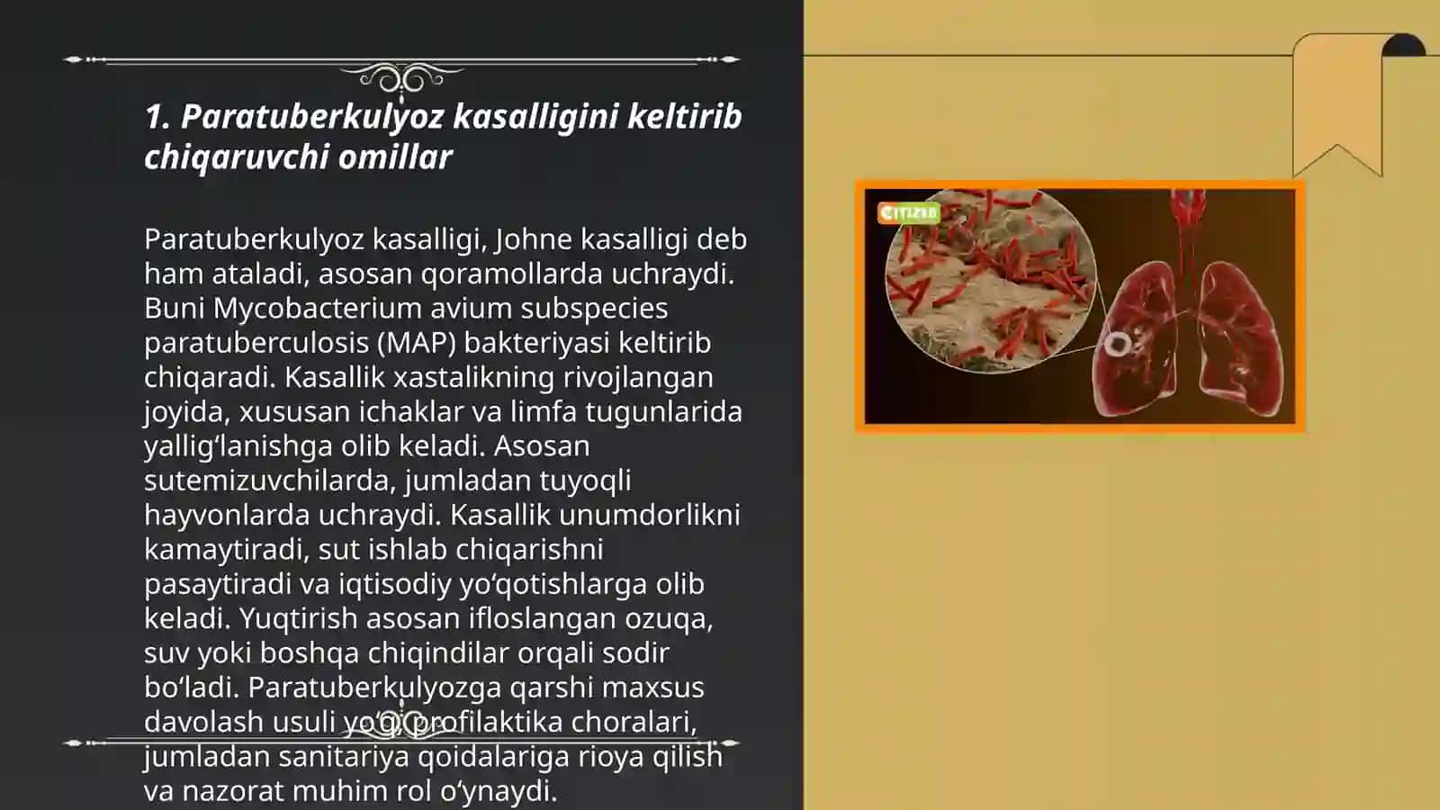Hayvonlarning paratuberkulyoz kasalligi 3