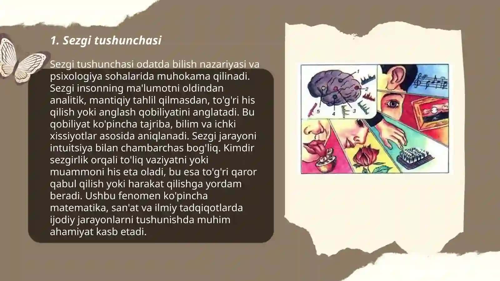 Sezgi haqida umumiy tushuncha va uning nerv-fiziologik asoslari 3