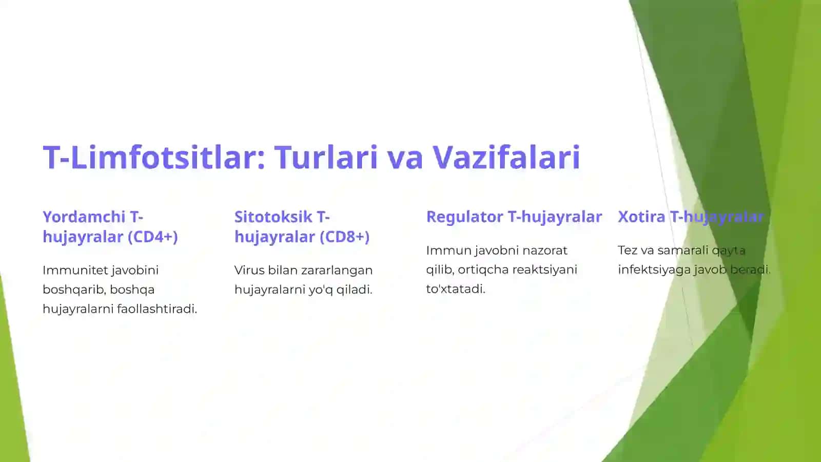 Limfotsitlar: Immun Tizimning Asosiy Hujayralari 3