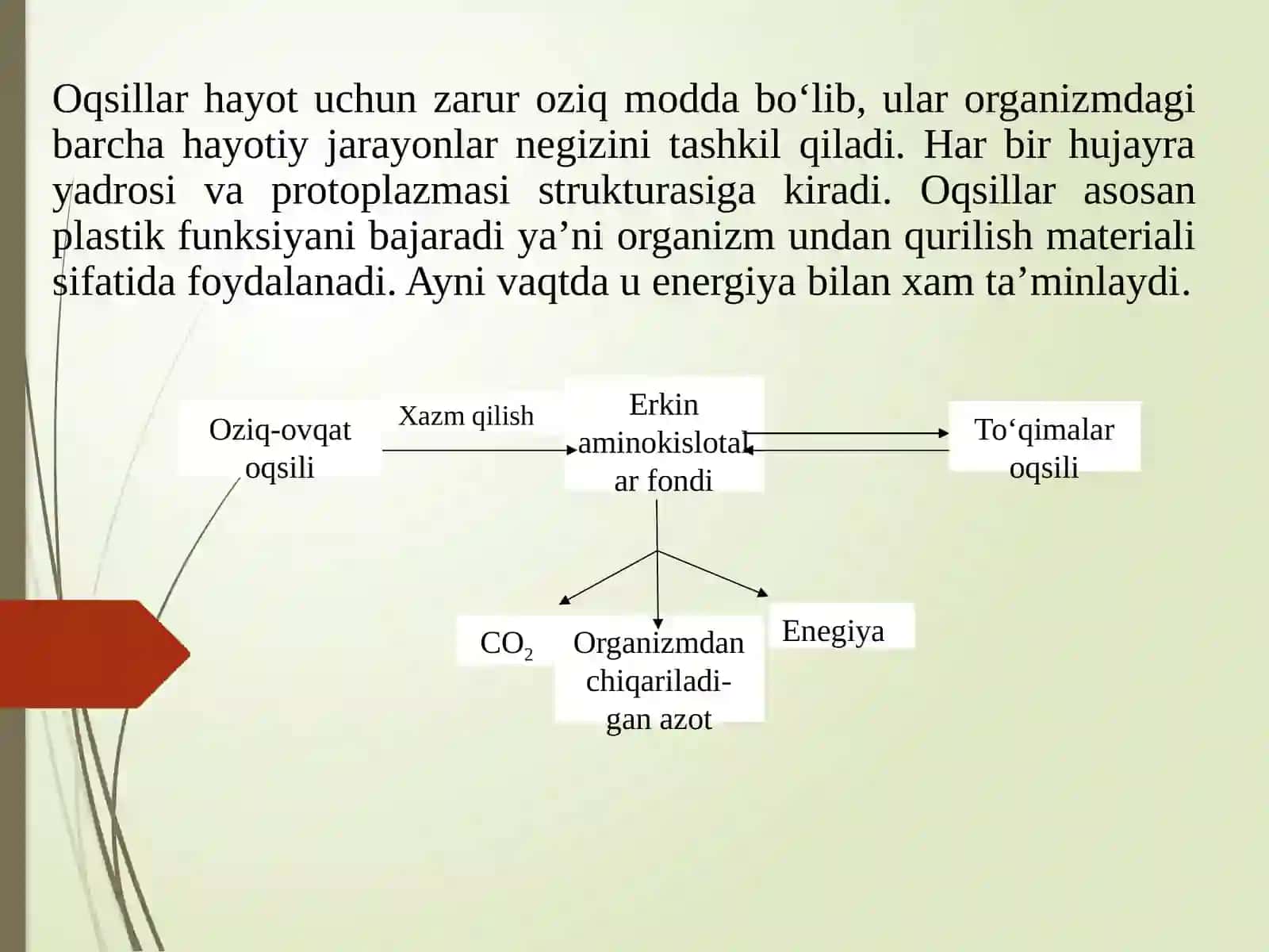 OZIQ-OVQAT OQSILLARI, TUZILISHI, TARKIBI VA KATALITIK XUSUSIYATLARI 3