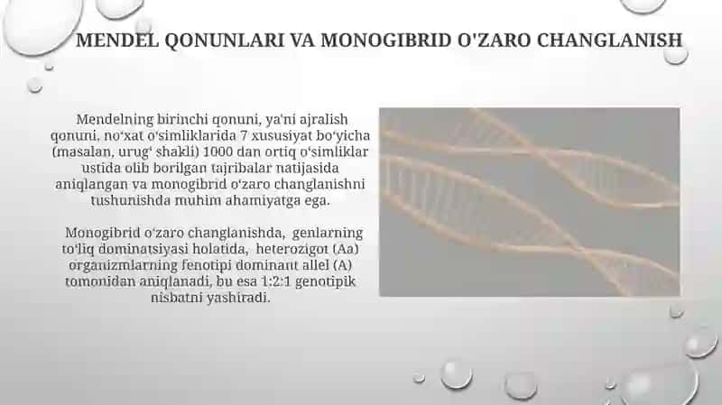 Monoduragoy chatishtirish. Allel bo‘lgan genlarning o'zaro ta'siri, ko'pallellik 3