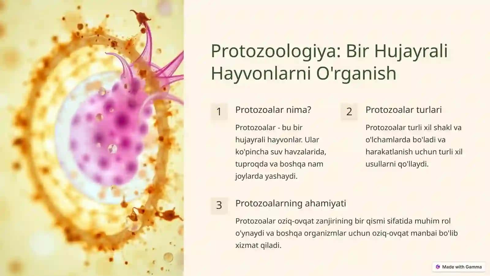 Zoologiya Faniga Kirish 3