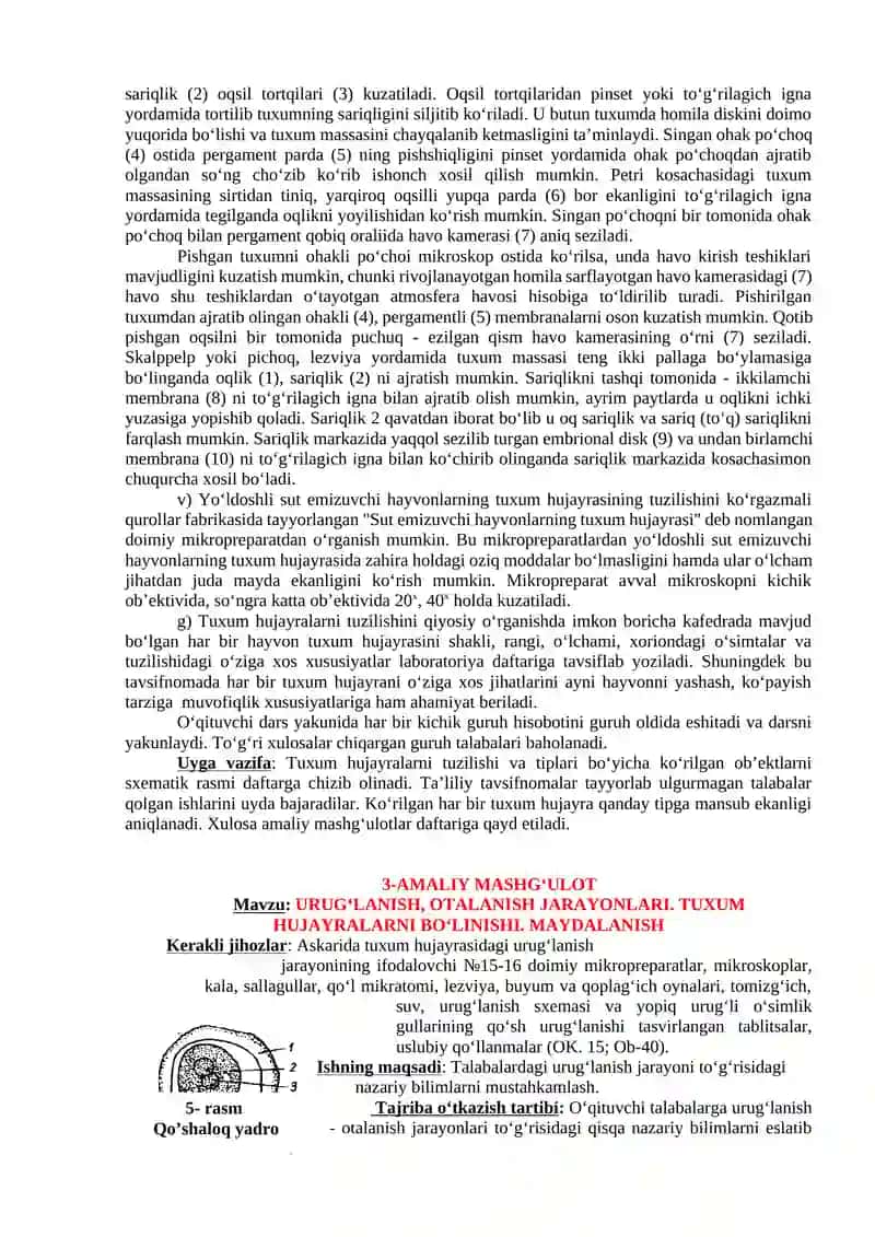 URUG’DON VA URUG’ XUJAYRALARINING TUZILISHI VA BIOLOGIC XUSUSIYATLARI 3