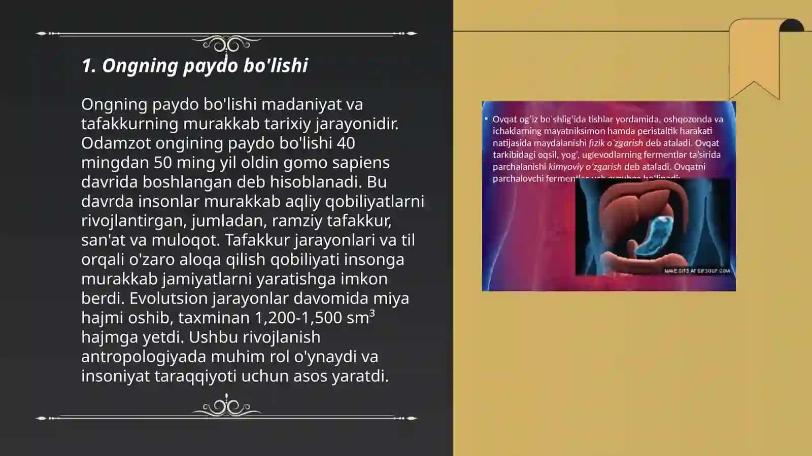 Ongning paydo bo'lishi va uning taraqqiyoti 3