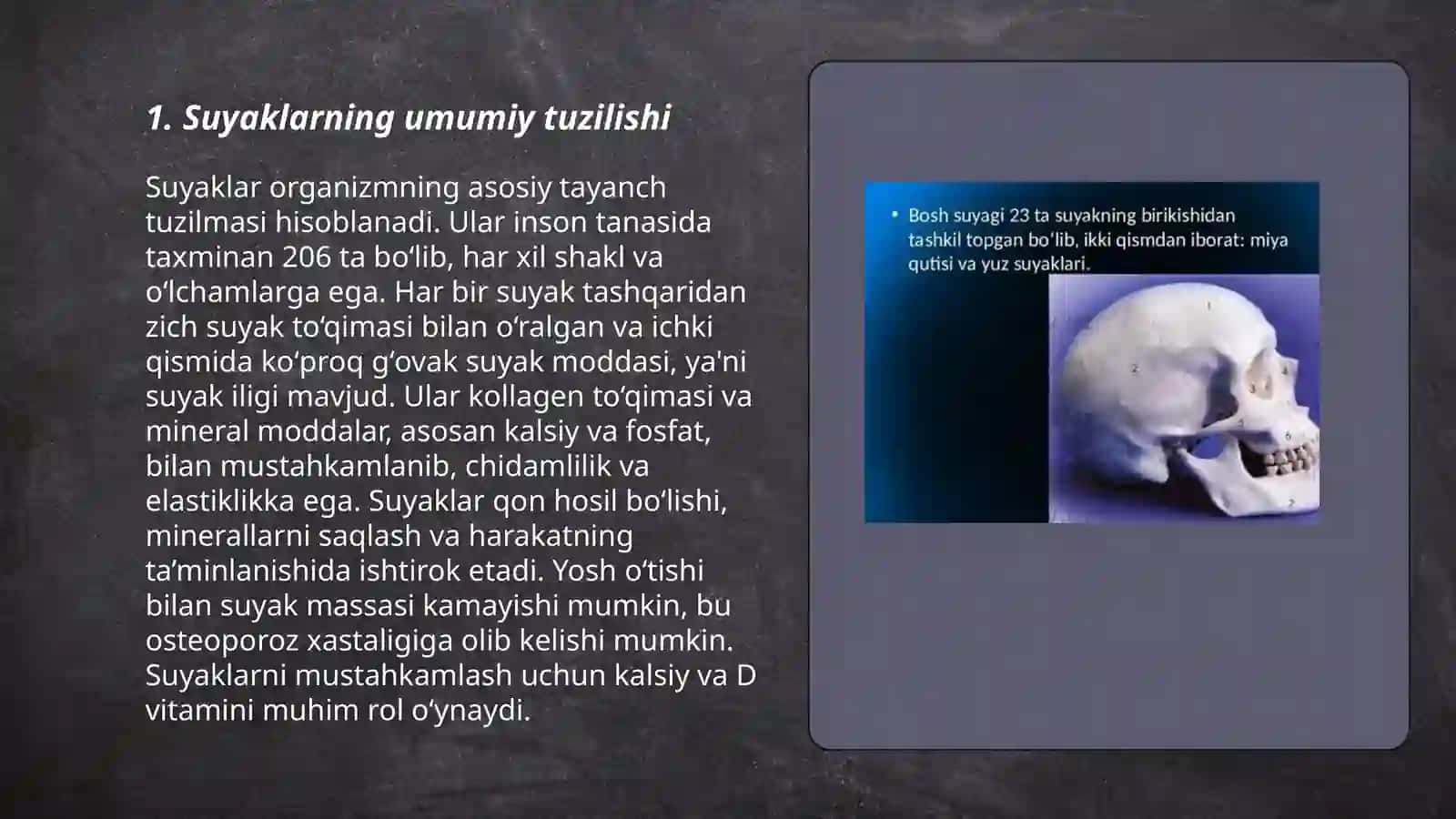 Organizmda suyaklarni tuzilishi ularning yosh xususiyatlari 3